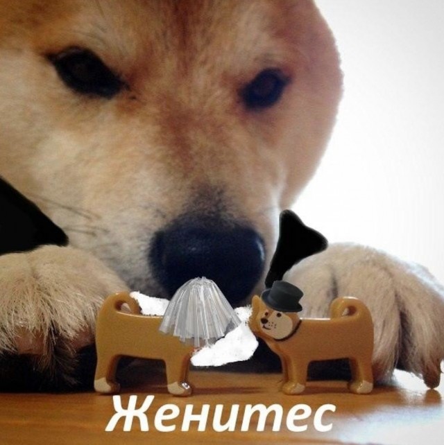 Сношайтесь