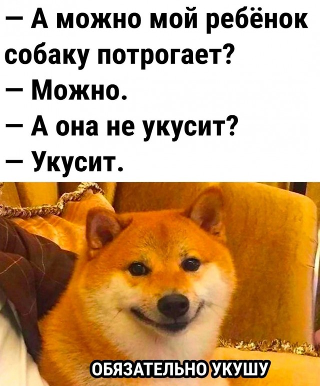 Всего понемногу. От 17.01.24