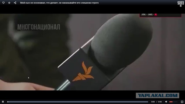 Мой сын не осознавал, что делает, не наказывайте его слишком строго