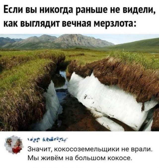 Отряд быстрого деградирования