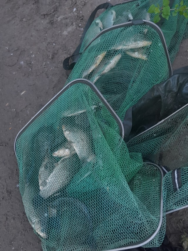 Рыбалка