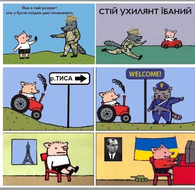 ТЦК упаковали весь техперсонал патриотической выставки в Ужгороде.