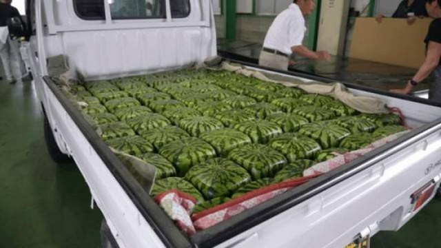 Прикольные и просто красивые картинки