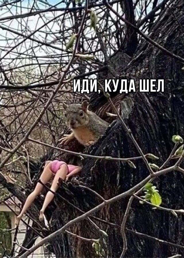 Прикольные и просто красивые картинки 12.11.2024