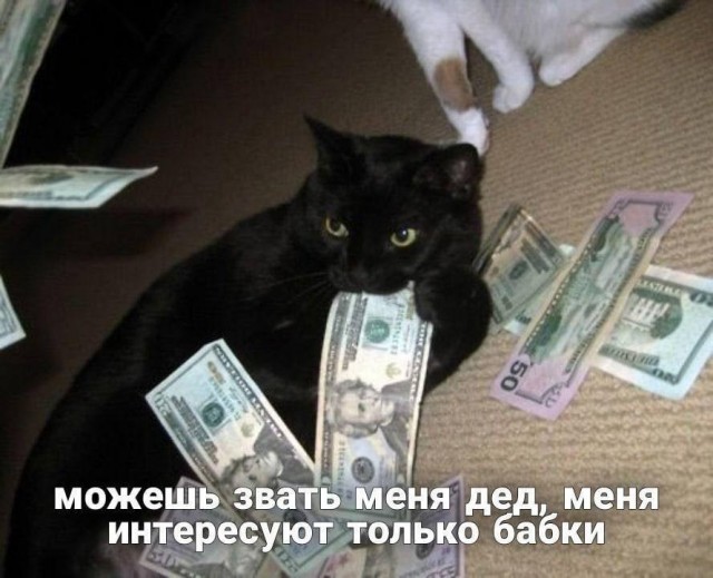 Всего понемногу. От 25.11.2024