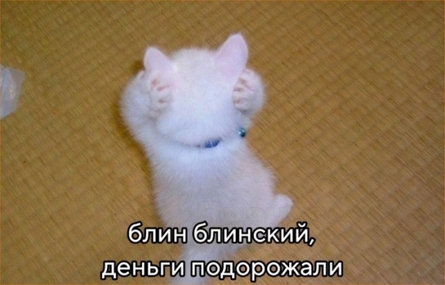 Всего понемногу. От 08.12.24