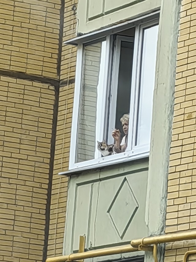 Сама пришла.