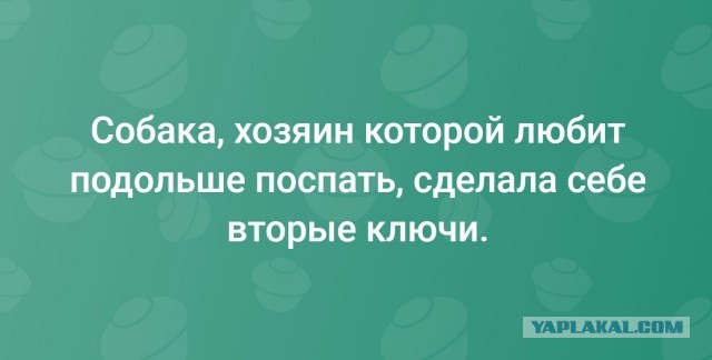Картинки 23.04.25