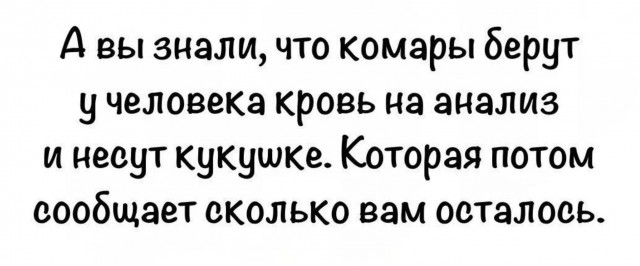 Завалялось тут случайно немного забавных картинок