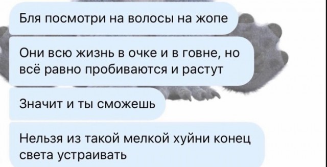 Так себе картинки 04.12.25