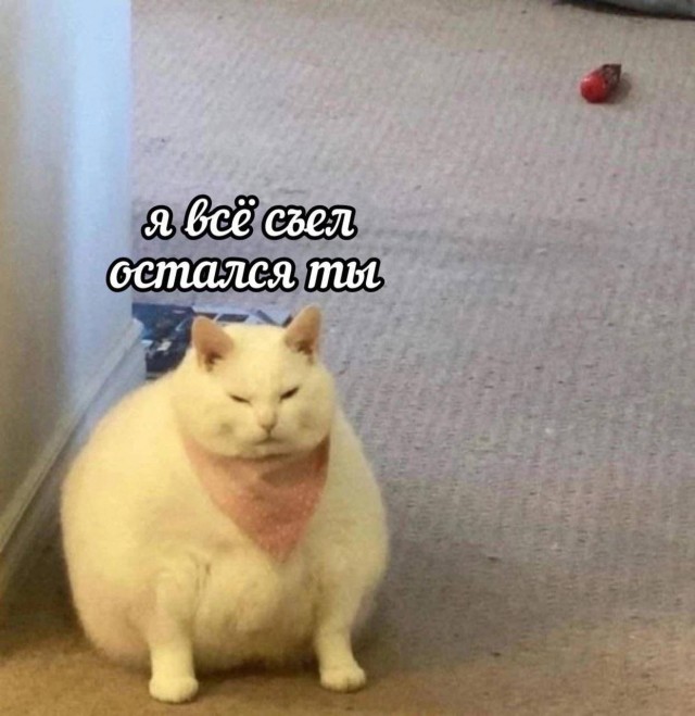 6 января.