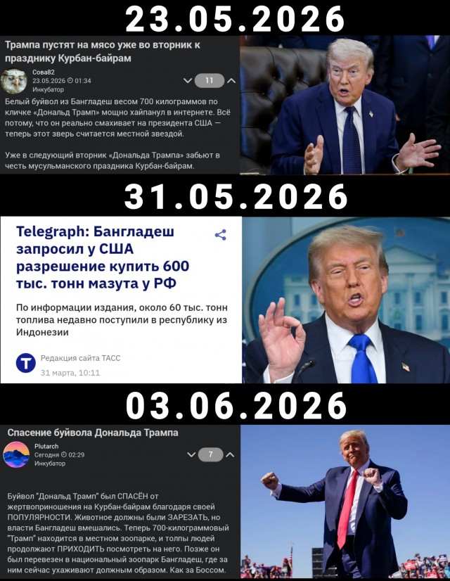 Спасение буйвола Дональда Трампа