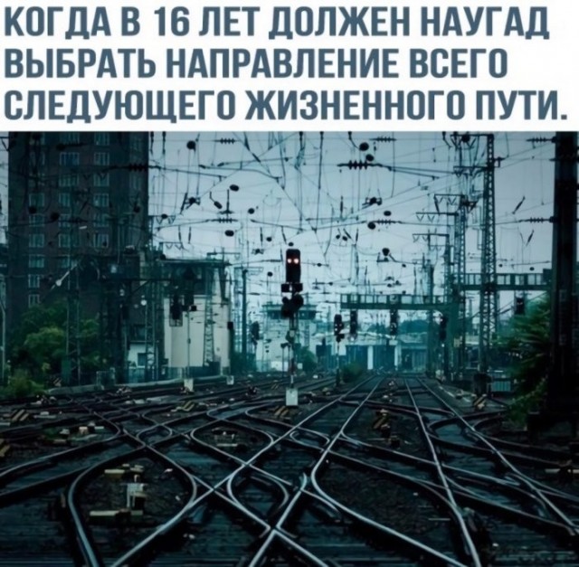 Веселые картинки в понедельник (06.07)