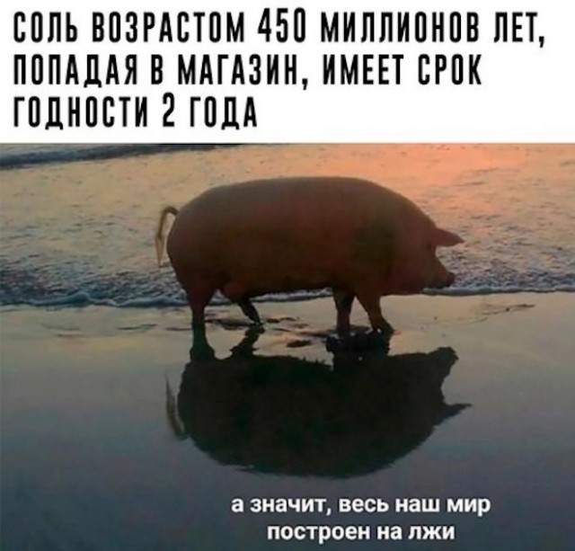 Веселые картинки в понедельник (13.07)