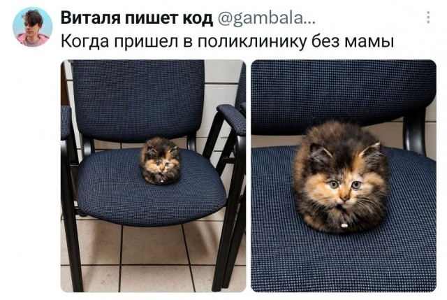 Картинки для деградации 263 (разной степени свежести)