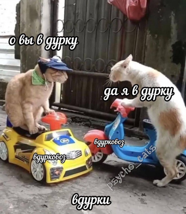 Психомемы-20