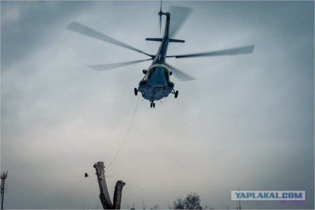 СОБР УМВД по Курганской области