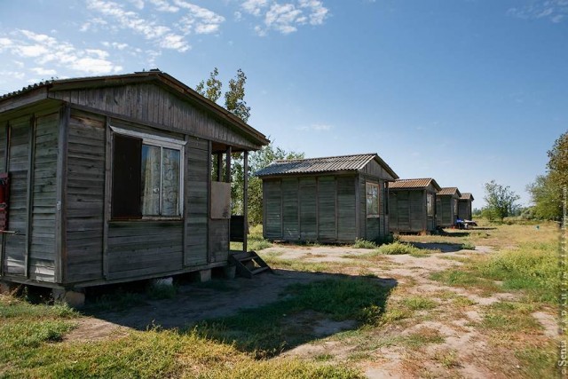 Царская рыба