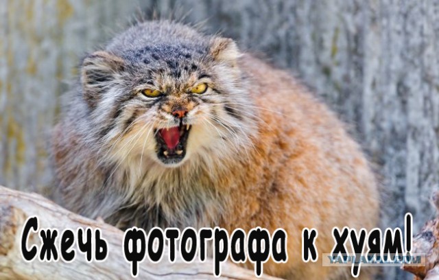 Свадебные фото, которые можно было не делать