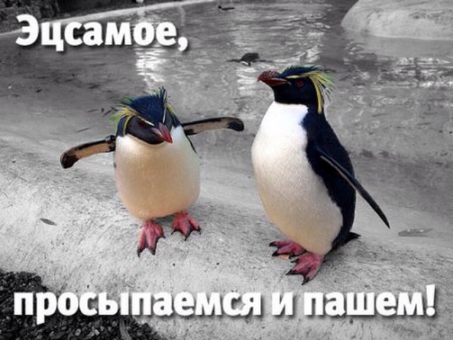 Импровизация, бачата