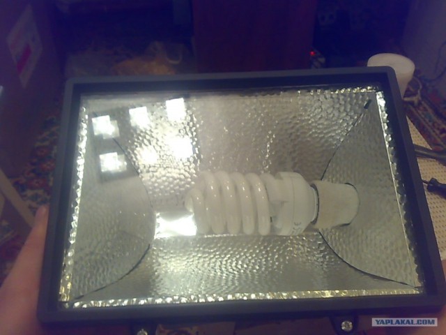 Экономный яркий свет