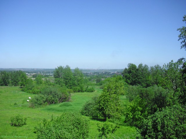 В черном городе