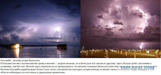 Жизнь на этой планете