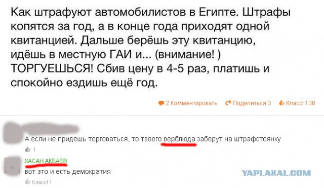 Вестник из соцсетей #8