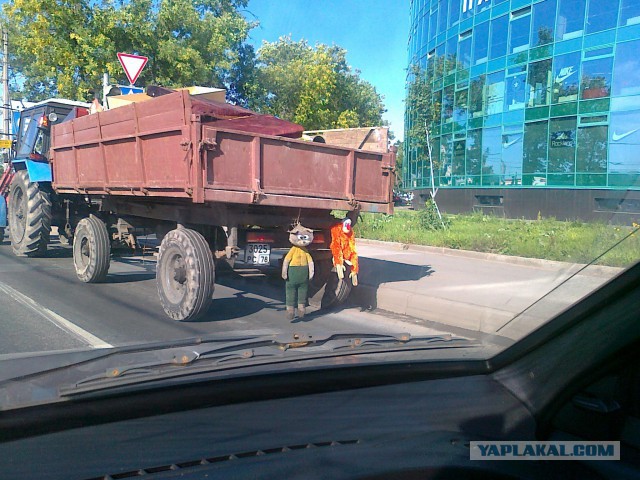Веселые картинки