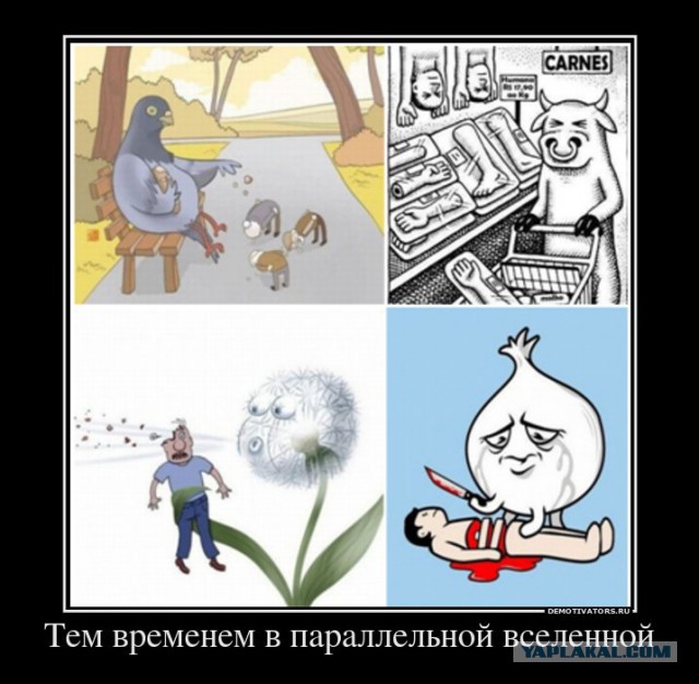 Удивила, так удивила