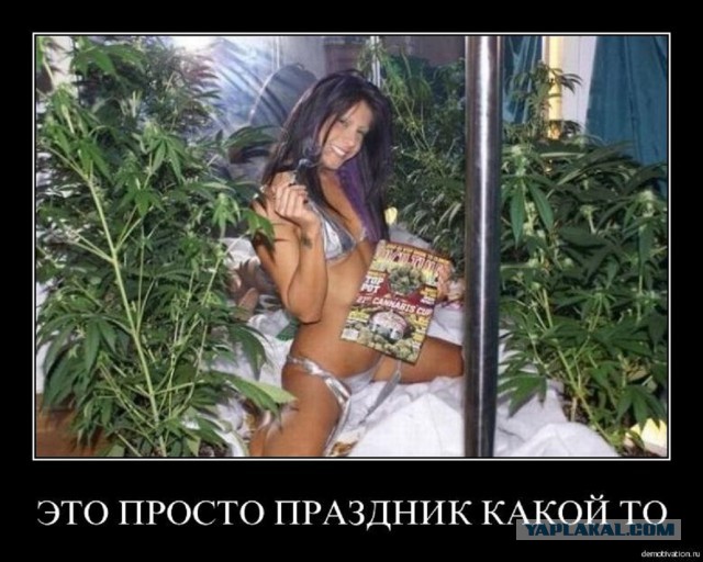 Наркоманский юмор