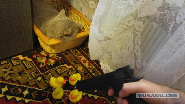 Пользователи Сети превратили боевиков ИГ в УГ