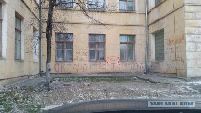Подборка картинок из сети