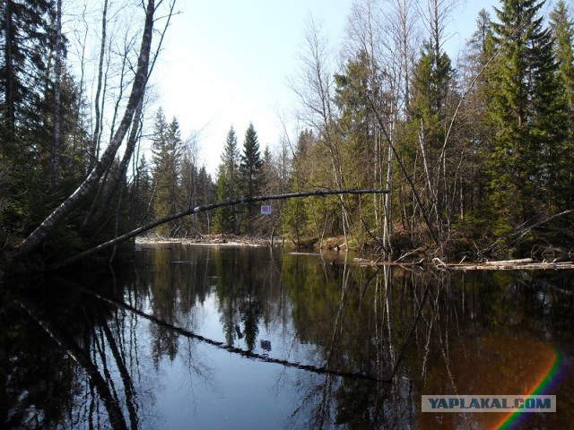 Река Уксунйоки (Укса). Карелия. Сплав по большой воде. Фотоотчет
