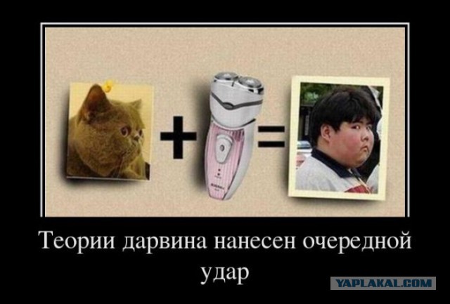 Юмор не для всех