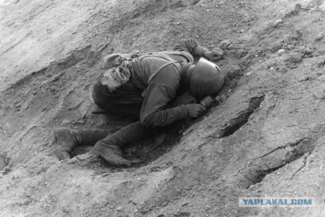 День начала Великой Отечественной войны, 22 июня 1941