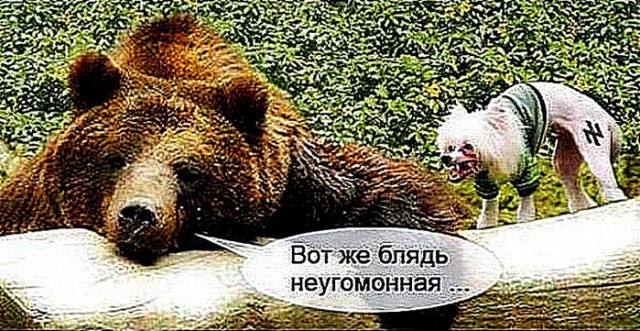 Крым в августе получит ракетные комплексы С-400