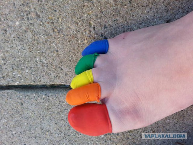 Подборка любопытных фотографий со всего света