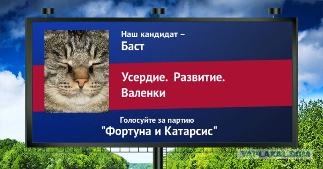 Стань кандидатом от ЯПа