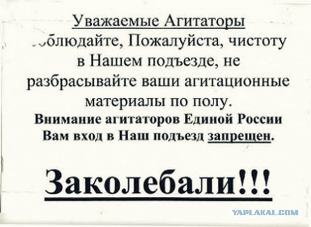 15 душевных объявлений из наших подъездов