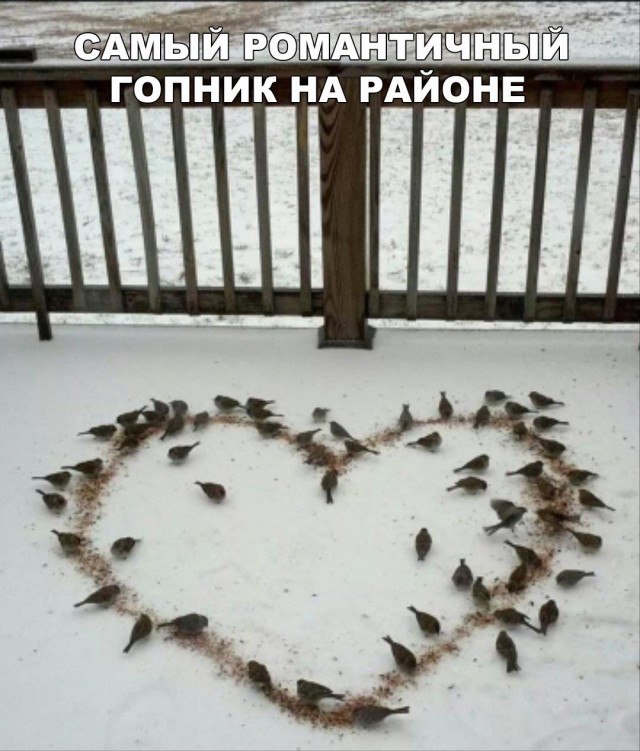 Порция абсурдного юмора на следующую неделю