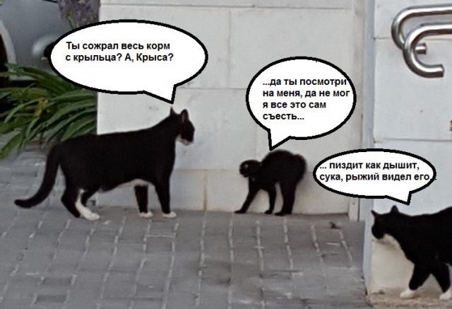 Немного деграданса - 4