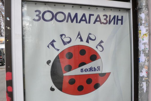 Смешные и не очень картинки из этих ваших интернетов