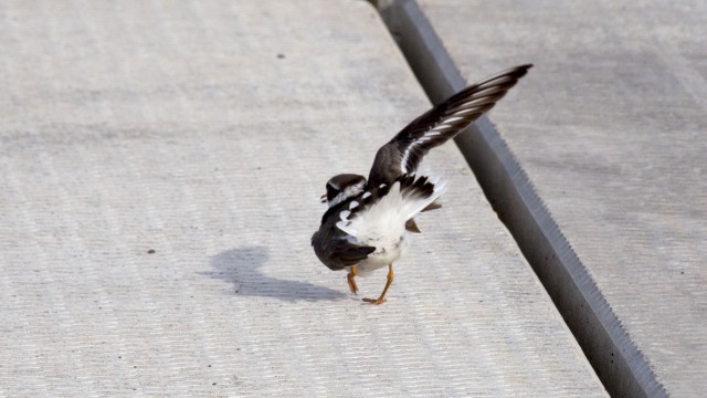 Просто Природа