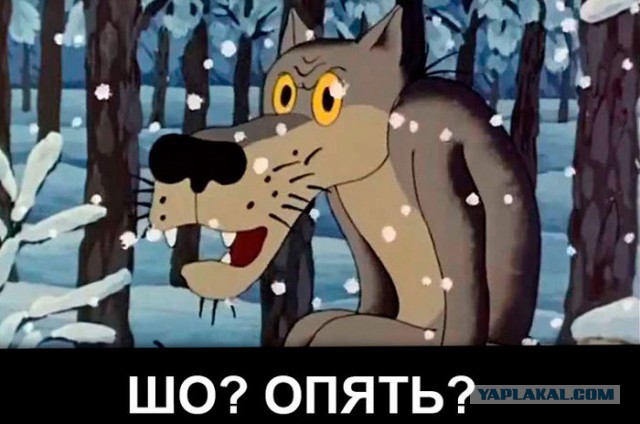 Латиница: невесёлый опыт Узбекистана для Казахстана и Киргизии