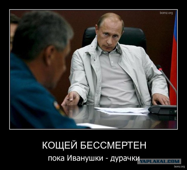 Ведущая ответила критикам после слов о голосовавших россиянах-приматах