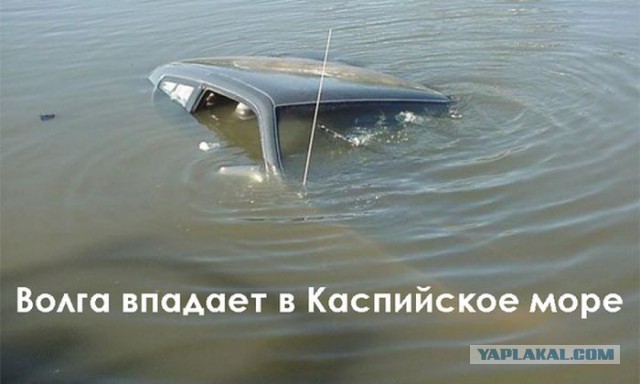 Опять обдолбался, паршивец!?