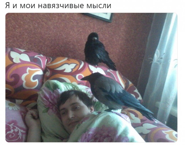 Нестандартный юмор