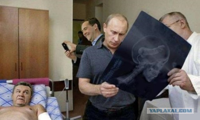 16 снимков человеческого тела, которые нельзя сделать обычным фотоаппаратом