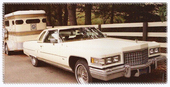 Игра на ЯПе: Угадай АВТО-5